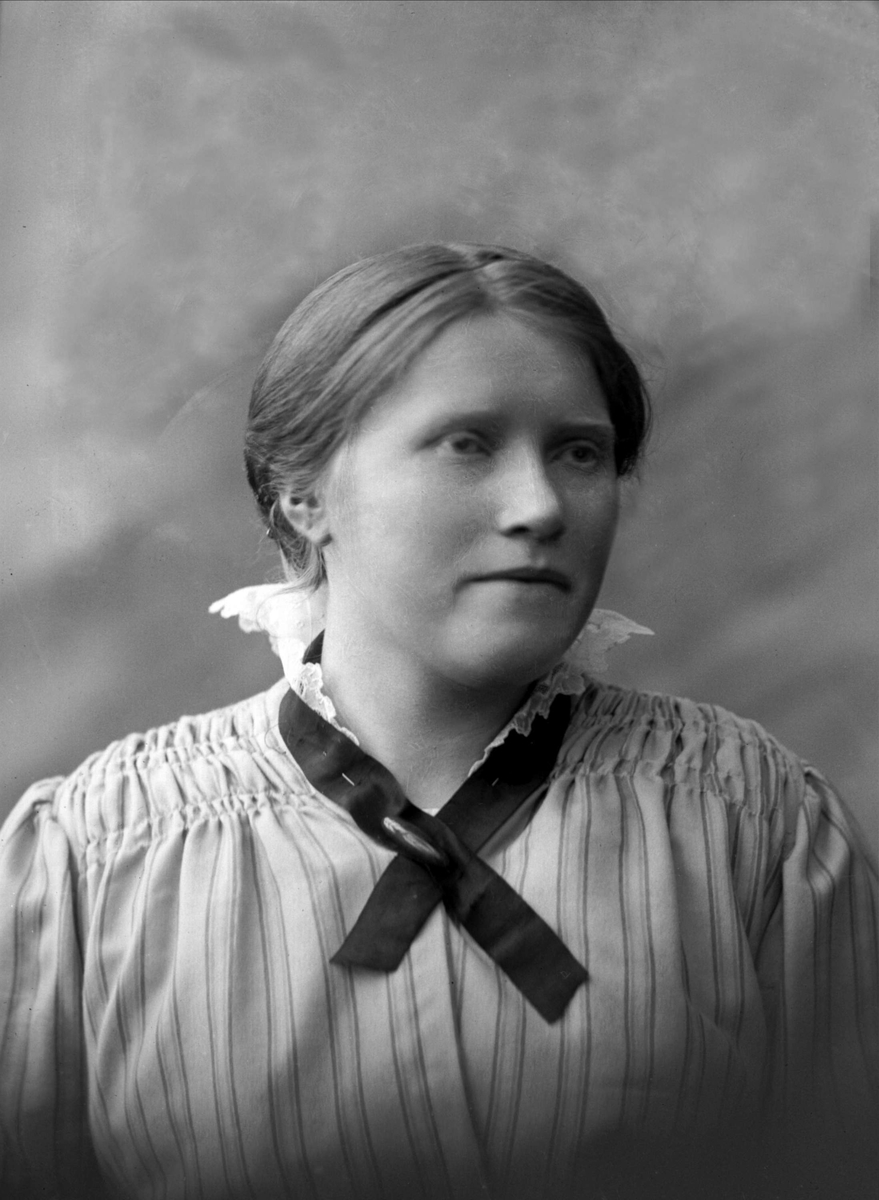 Gustav Borgen, NFB.22448