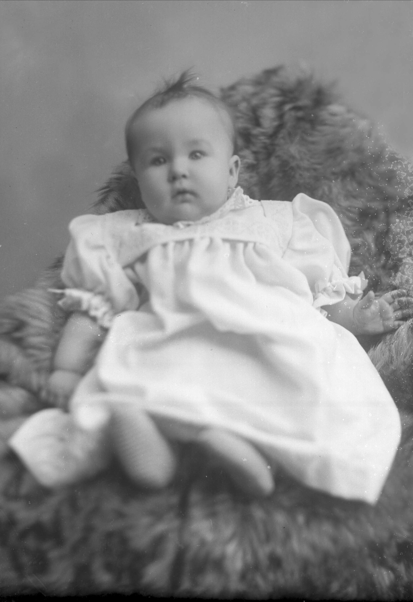 Gustav Borgen, NFB.22817
