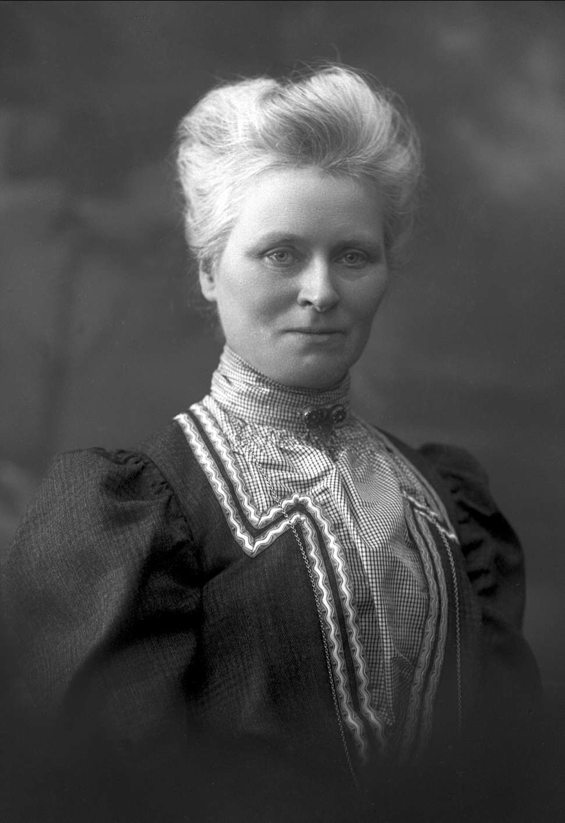 Gustav Borgen, NFB.23129