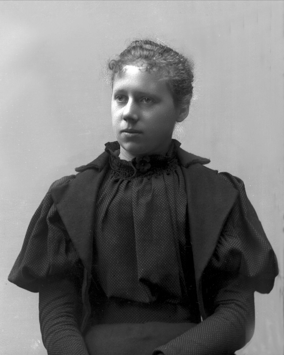 Gustav Borgen, NFB.26196