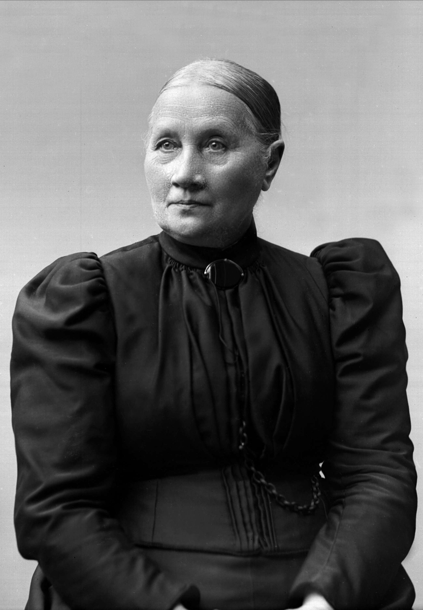 Gustav Borgen, NFB.26306