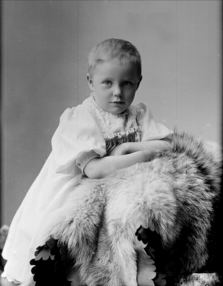 Gustav Borgen, NFB.26454