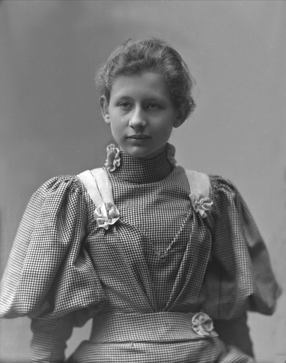 Gustav Borgen, NFB.26822