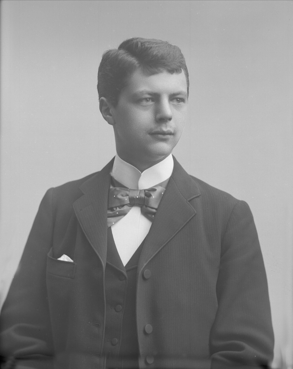 Gustav Borgen, Portrett, Nils Westergaard (1881-?).