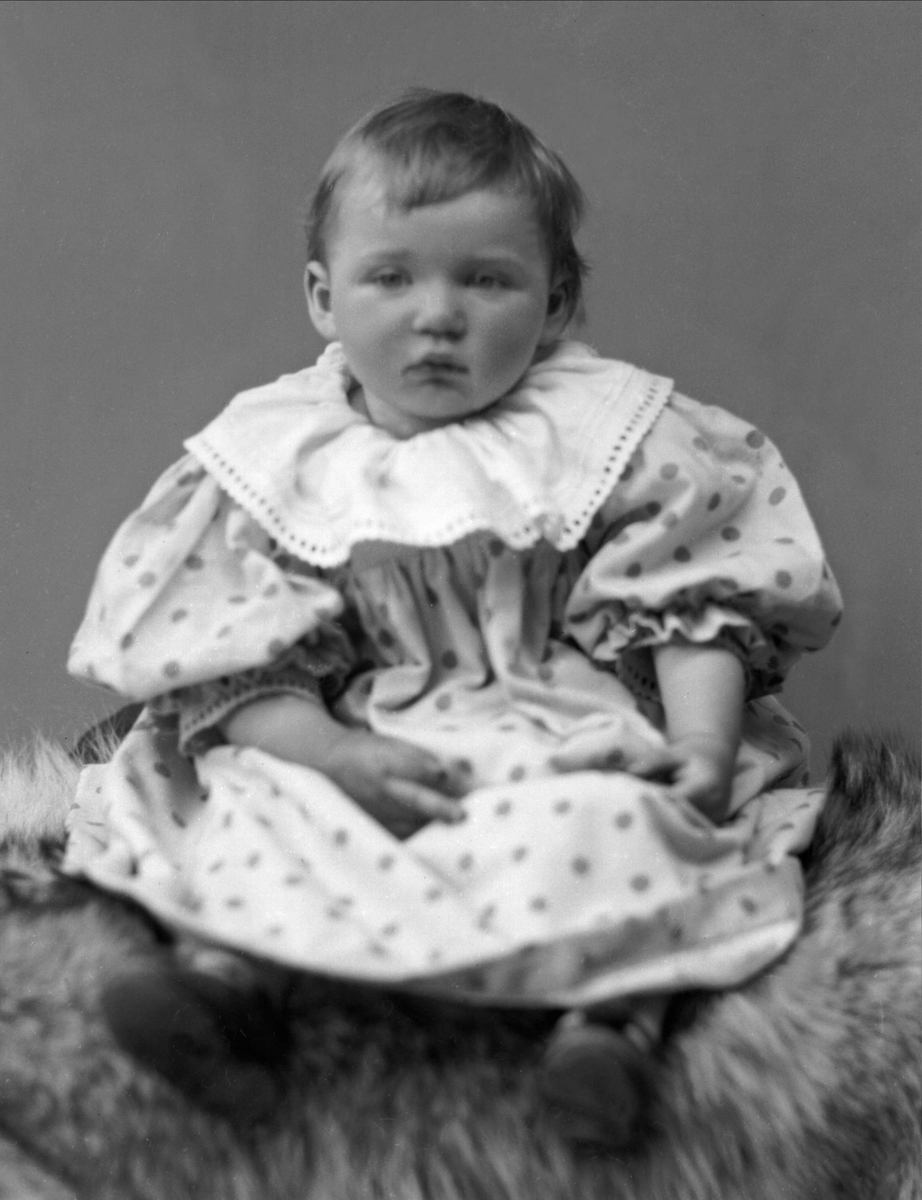 Gustav Borgen, NFB.32283
