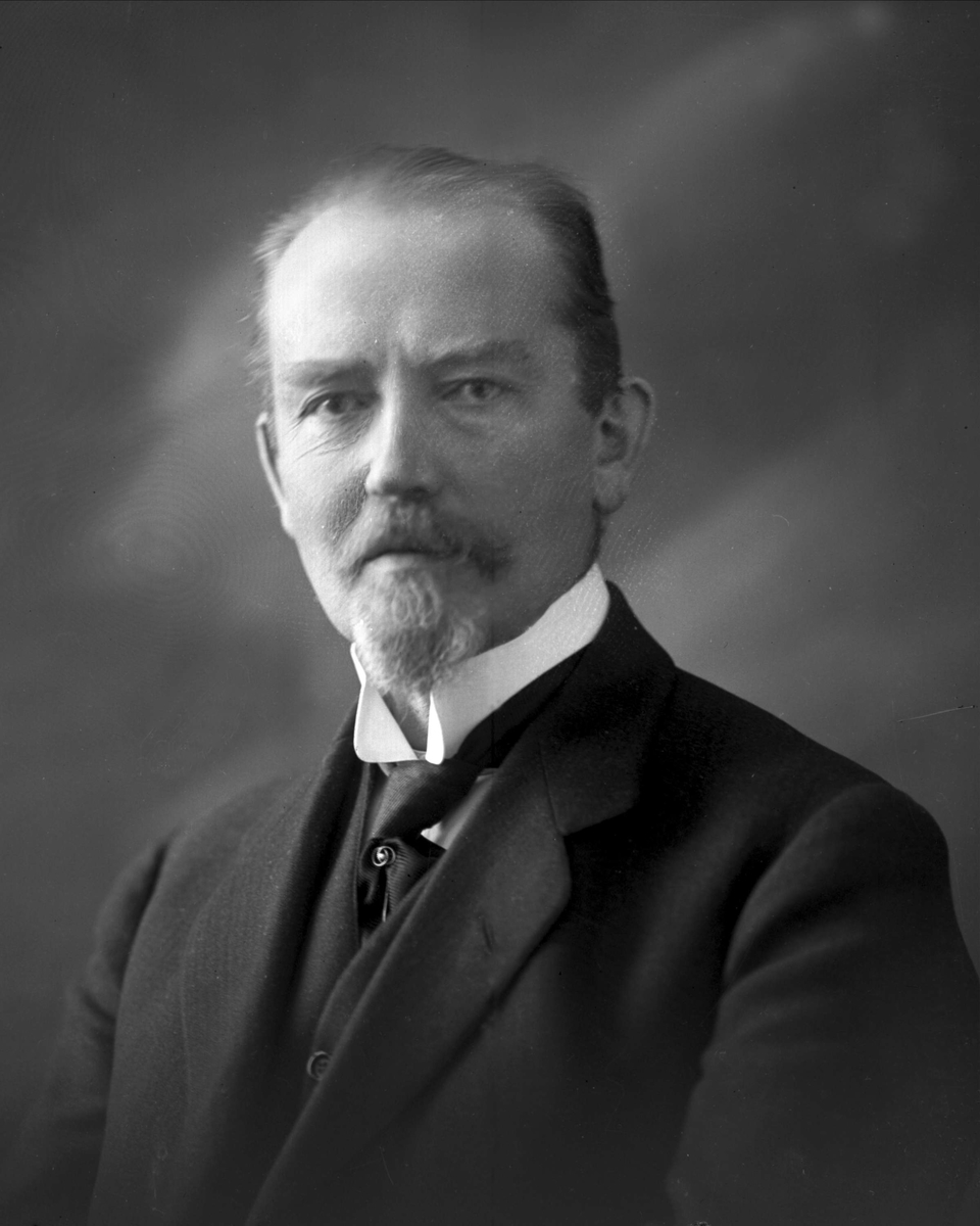 Gustav Borgen, NFB.37615