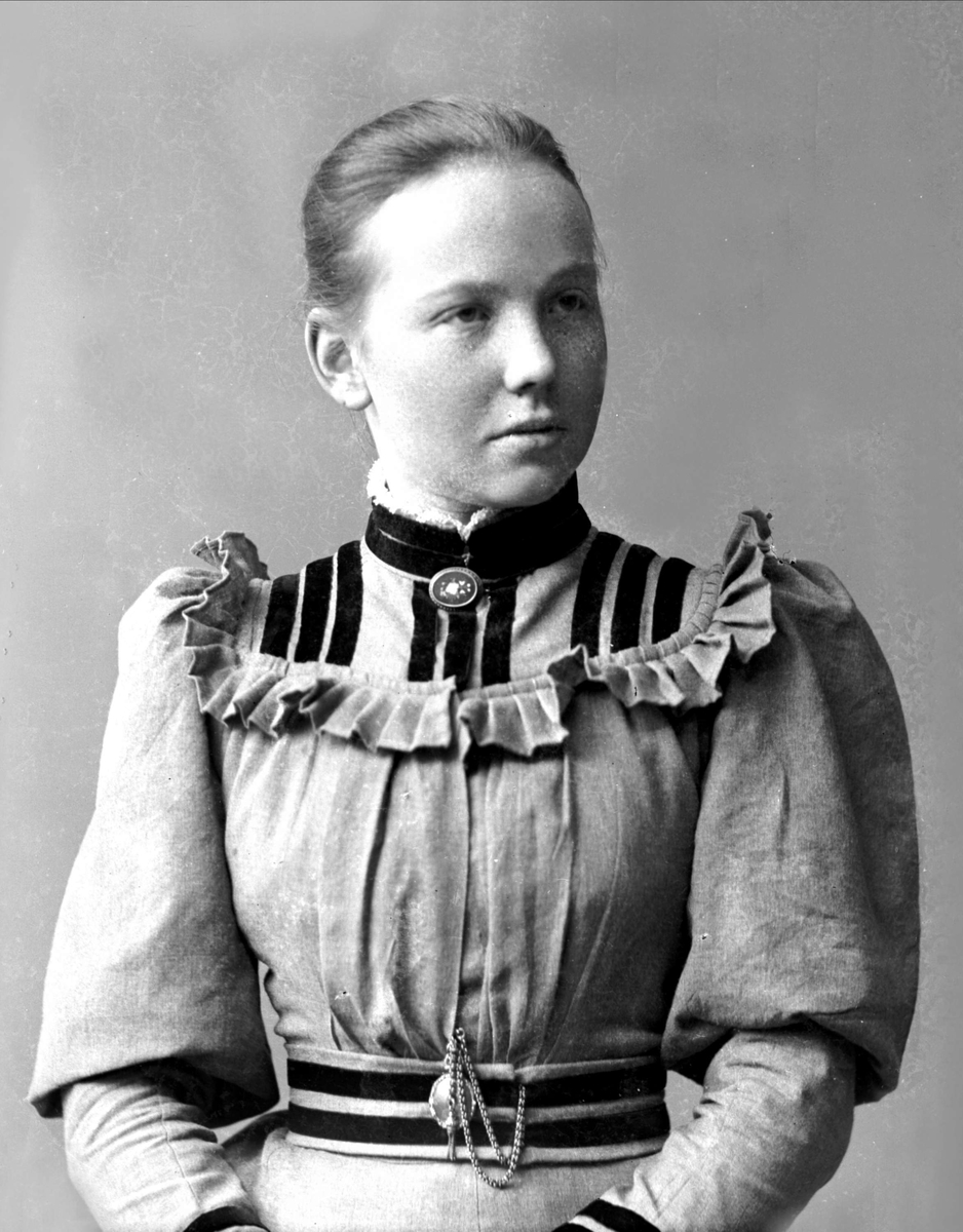 Gustav Borgen, NFB.39303