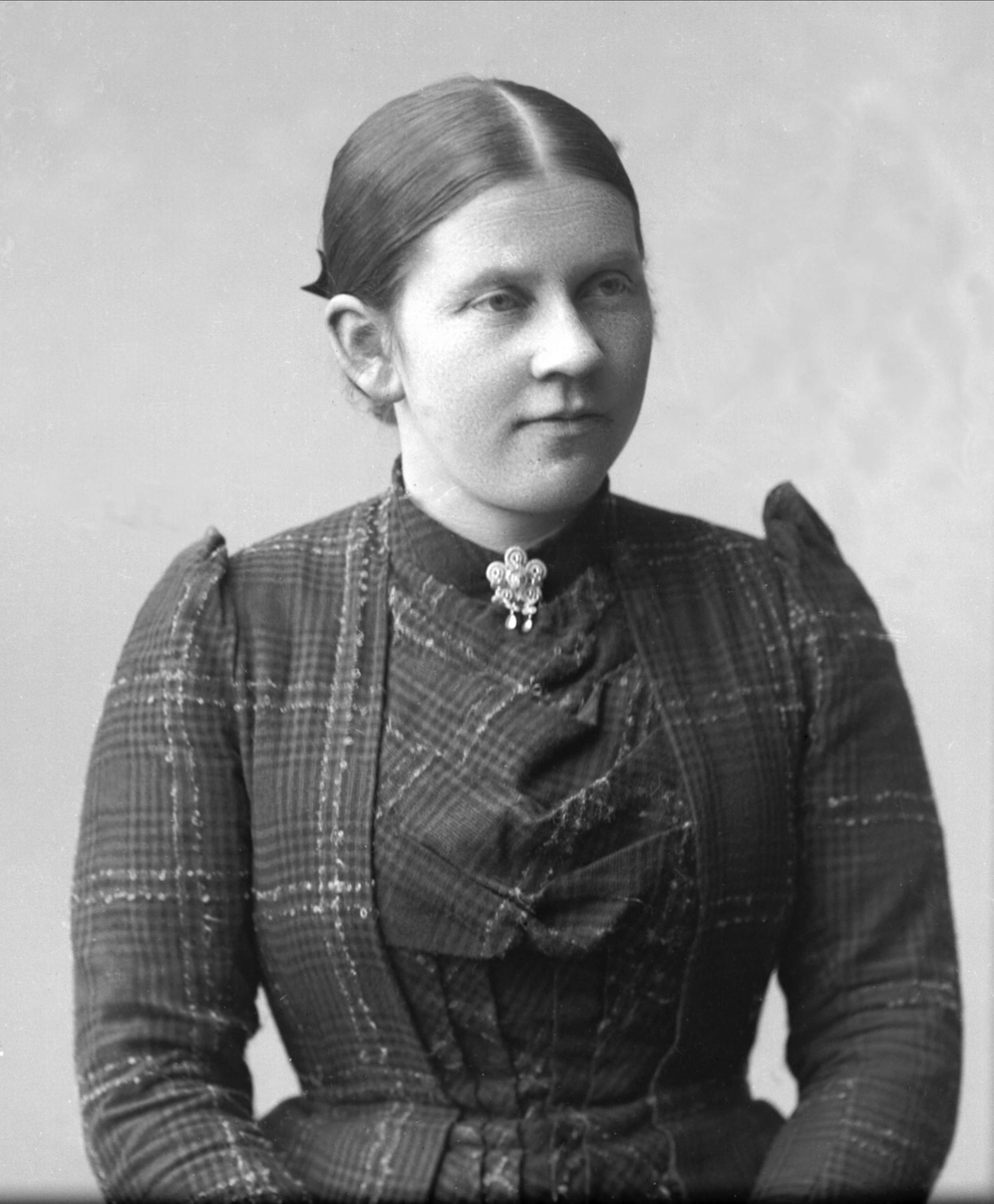 Gustav Borgen, NFB.39347