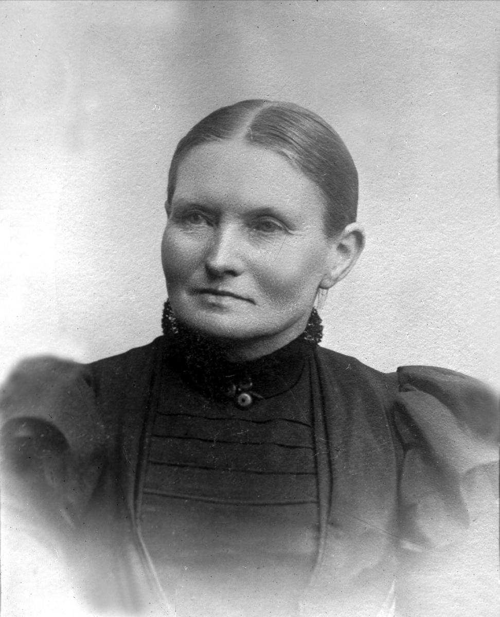 Gustav Borgen, Avfotografering.
