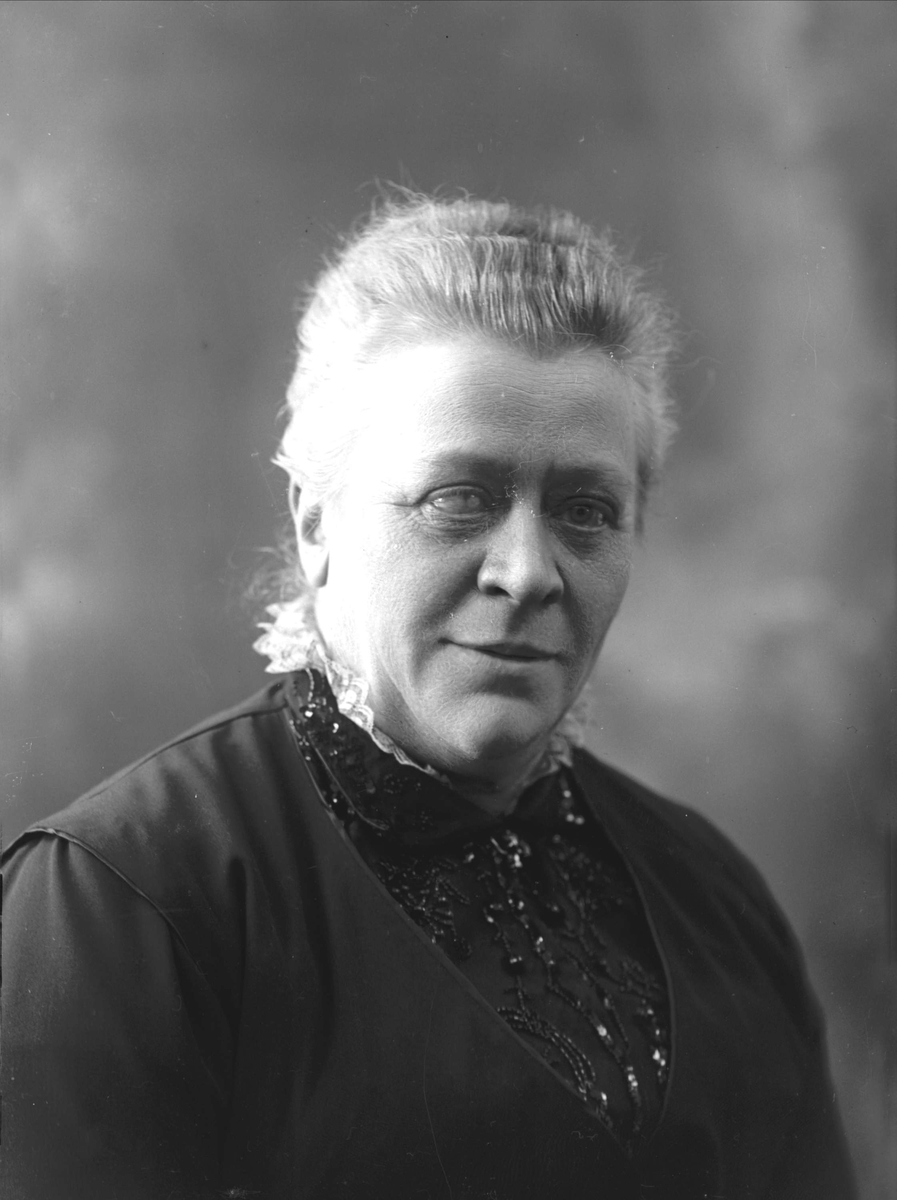 Gustav Borgen, NFB.39367