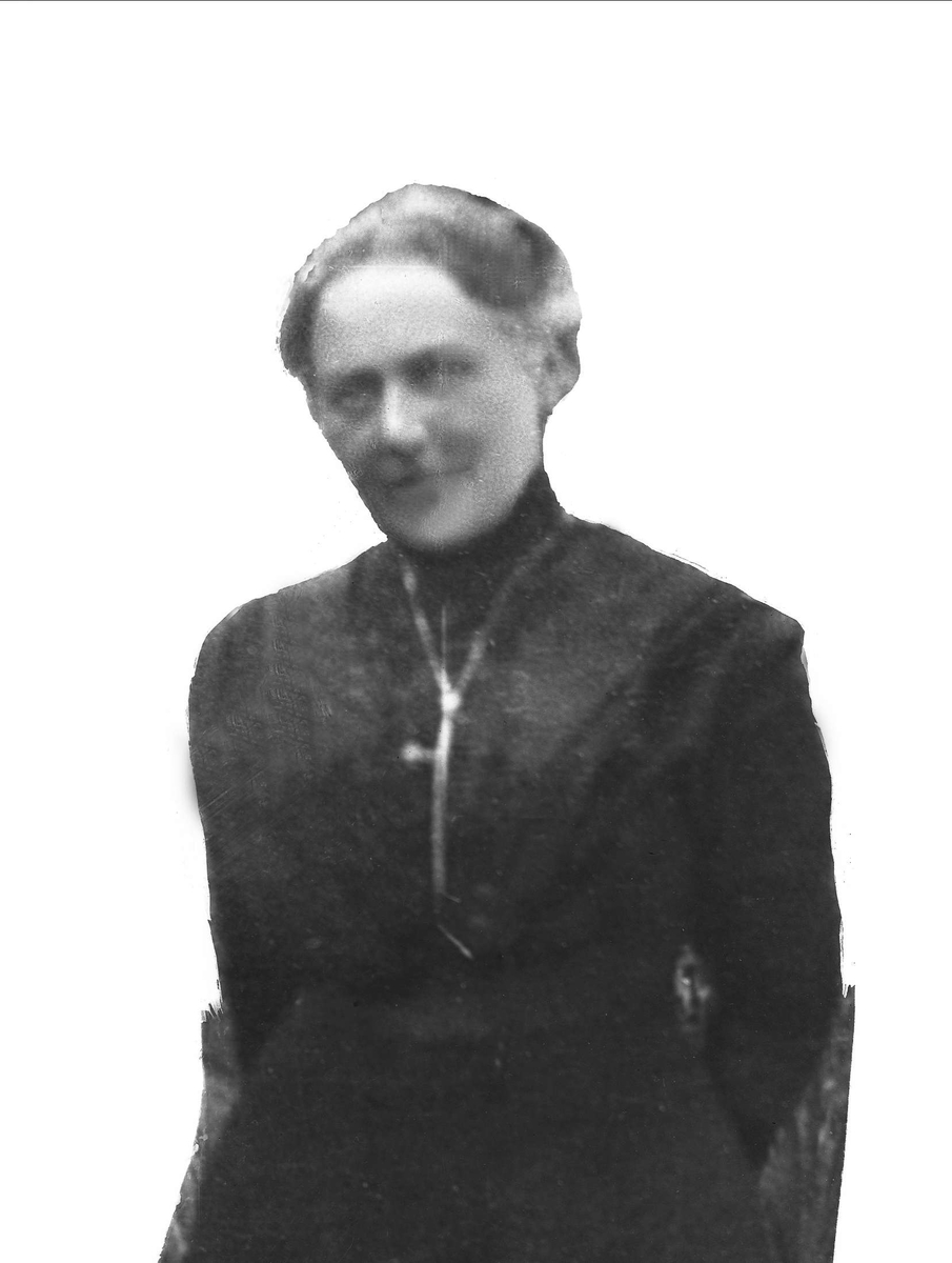 Gustav Borgen, Avfotografering.