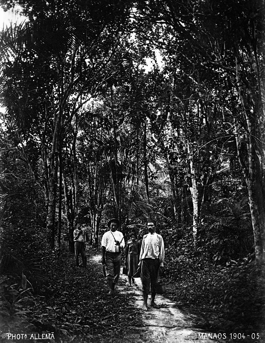 Gustav Borgen, Avfotografering. Gruppe mennesker på sti gjennom jungelen, Manáos (Brasil?), 1904-1905. Maleren Backers kopi, 1916.
