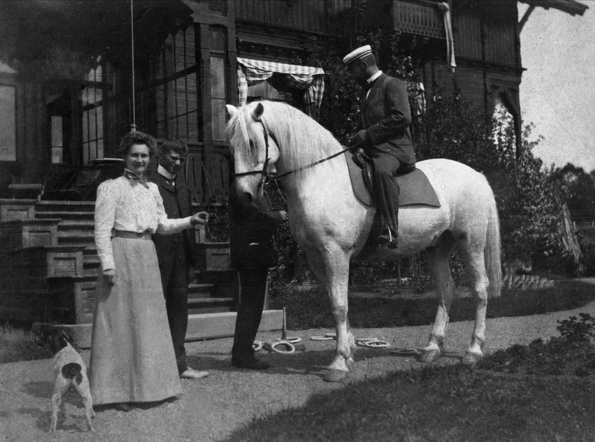 Gustav Borgen, Avfotografering. Gruppeportrett, familiebilde, mann på hvit hest, to andre menn, en kvinne og en hund.