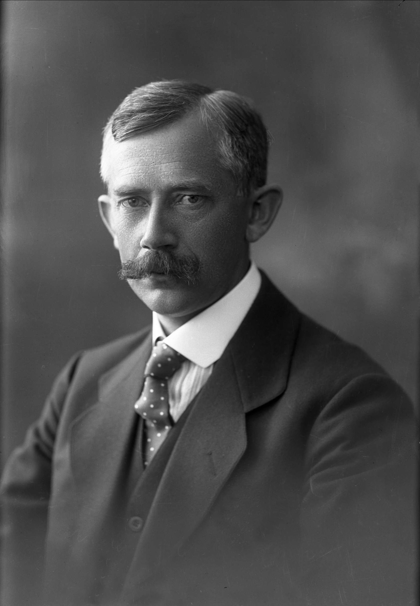 Gustav Borgen, NFB.46131