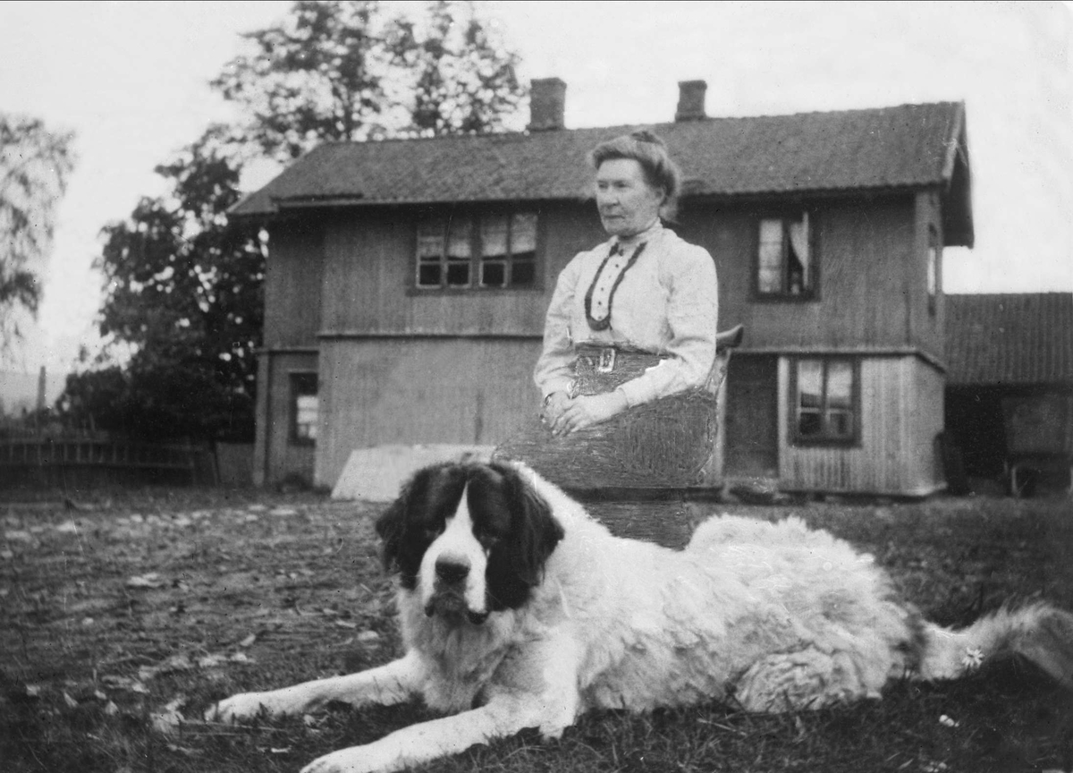 Gustav Borgen, Avfotografering. Sittende kvinne i hagen med St. Bernhardshund ved foten, hus i bakgrunnen. Avfotografering.
