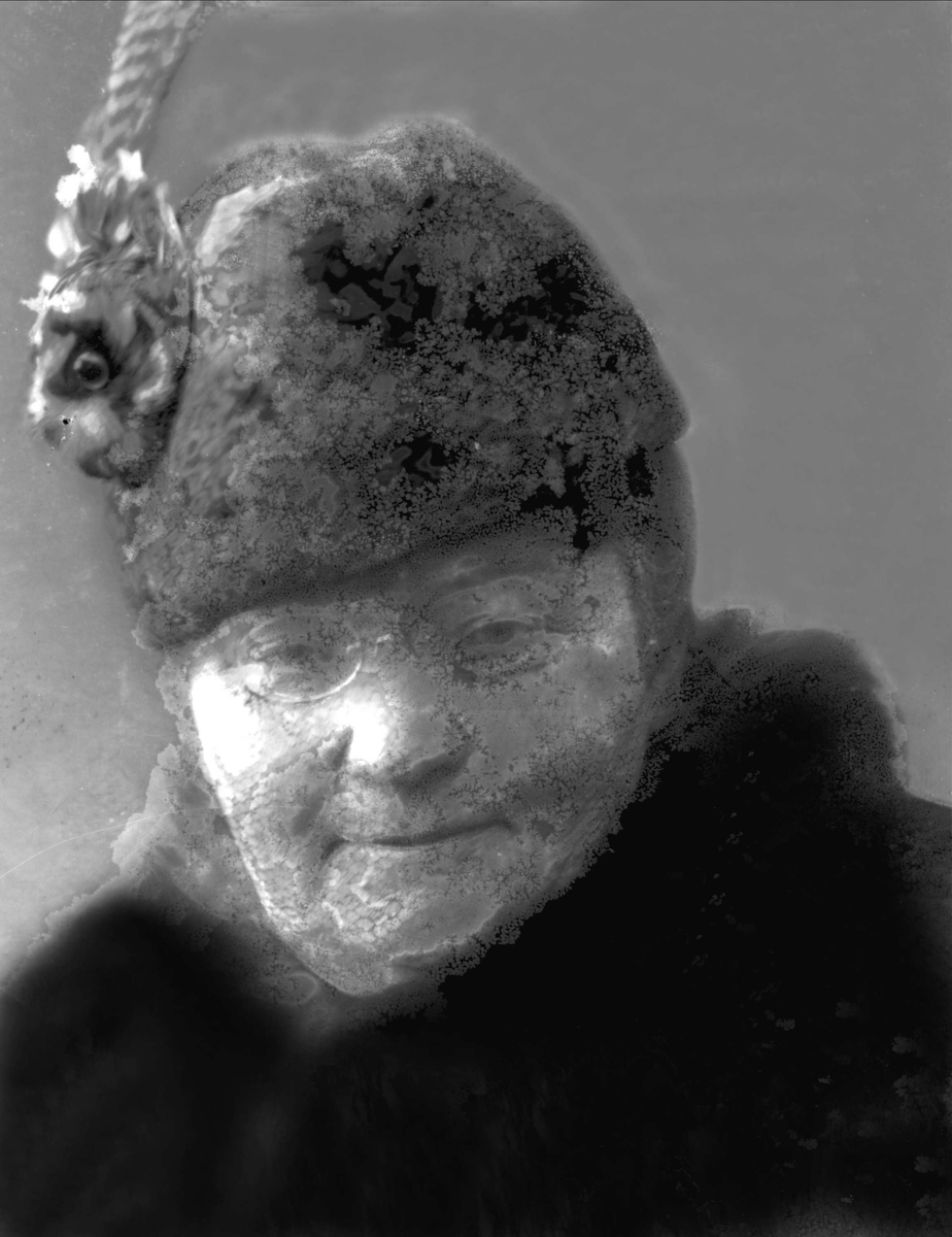 Gustav Borgen, NFB.49459