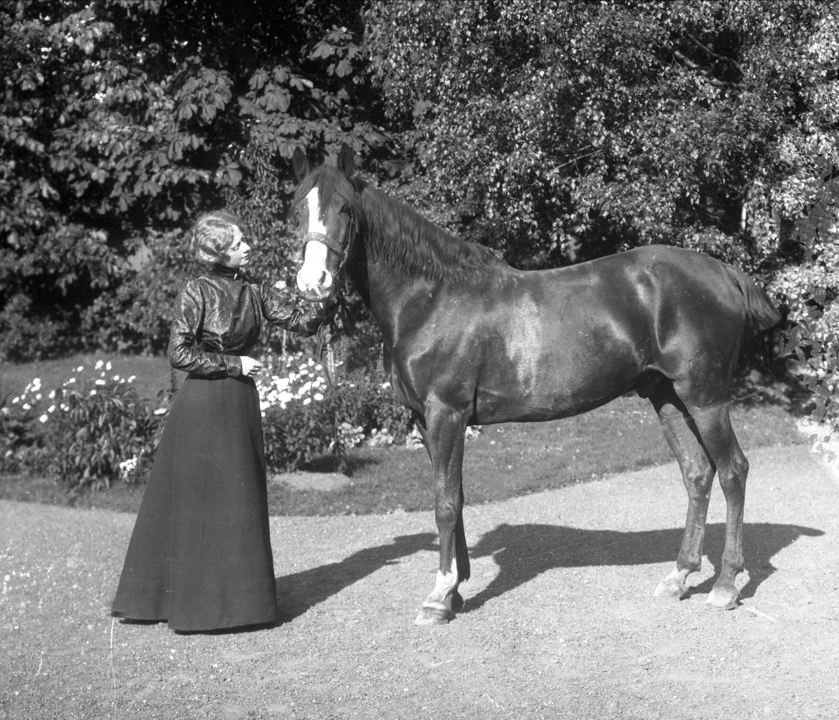 Gustav Borgen, Portrett, kvinne holder tømmene til hest med kupert hale.