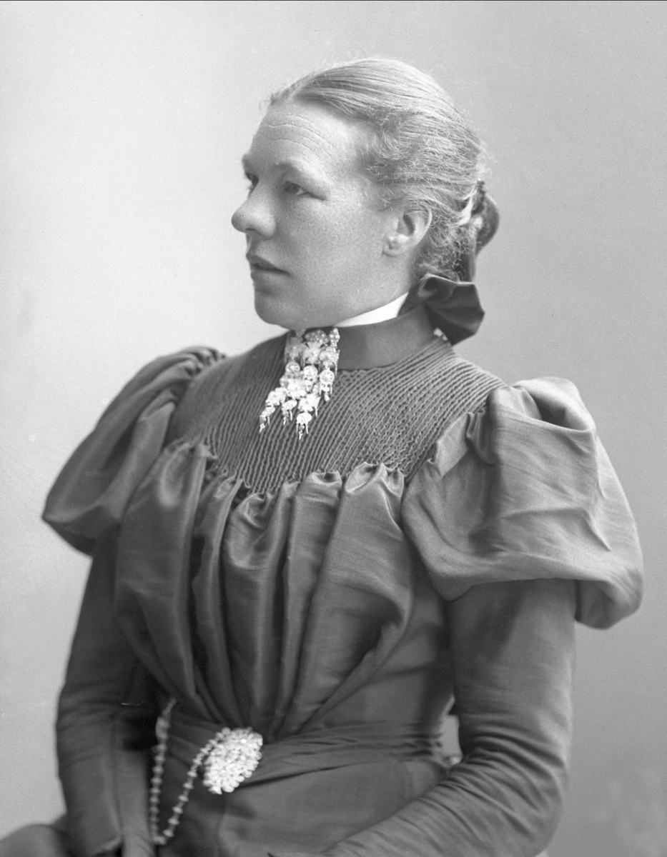 Gustav Borgen, NFB.50526