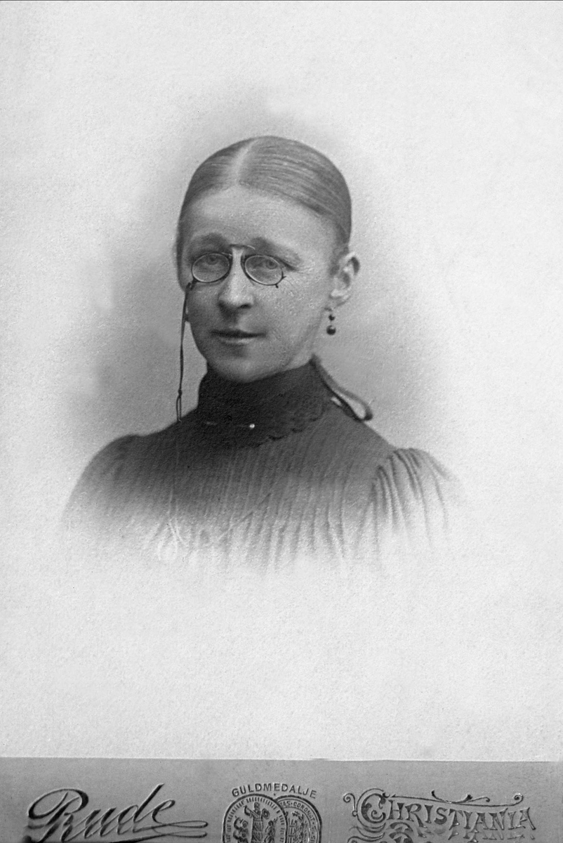 Gustav Borgen, Avfotografering.