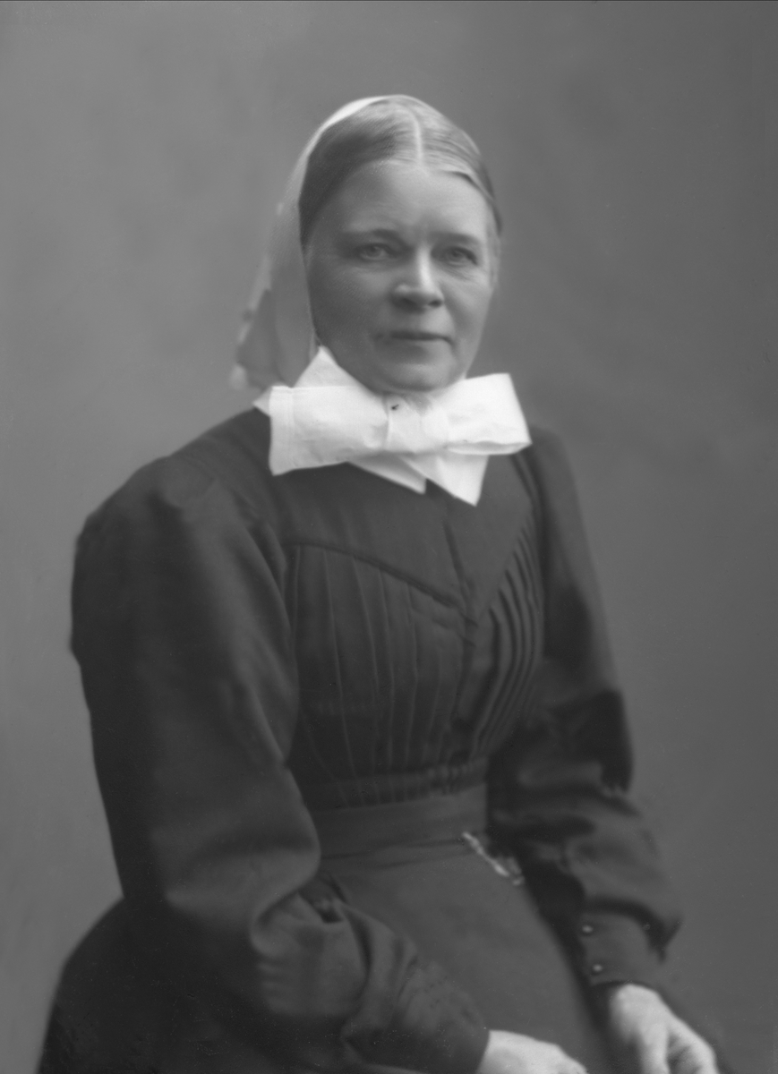 Gustav Borgen, NFB.53039