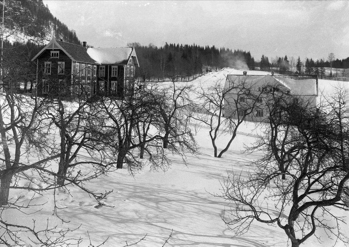 Gustav Borgen, Fruktrær med to våningshus i bakgrunnen. Sem Landbruksskole.