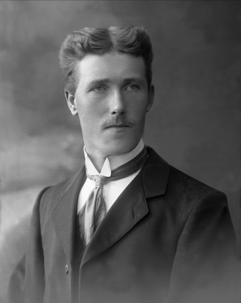 Gustav Borgen, NFB.56250
