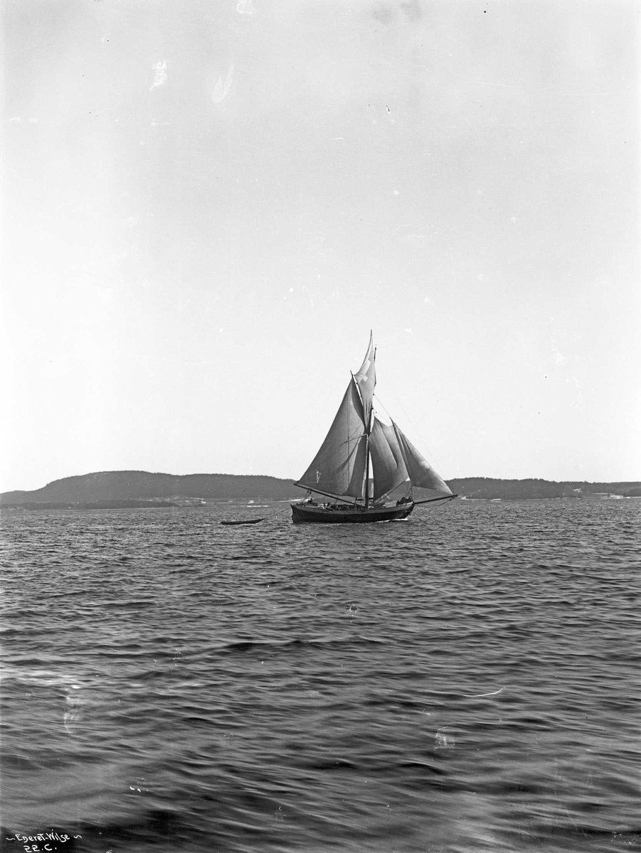 Anders Beer Wilse, Skøyte