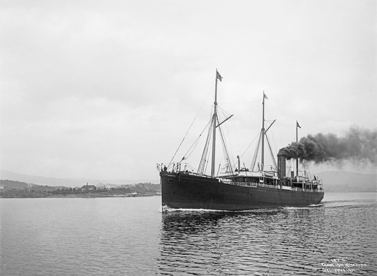 Anders Beer Wilse, D/S Angelo (b. 1874, Humphrys & Pearson, Hull), 3/4 baug