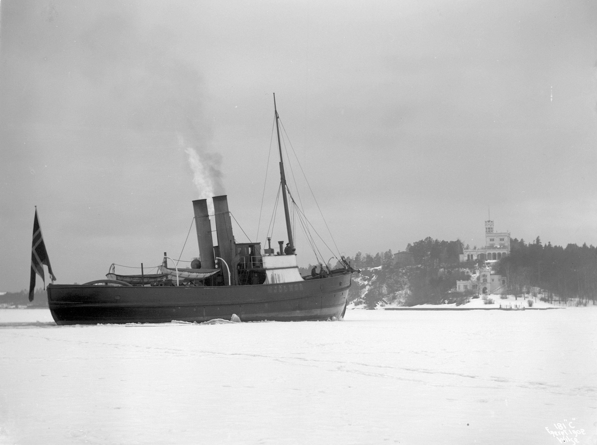 Anders Beer Wilse, D/S Mjølner (b. 1878, Kockums Mekaniske Verksted, Malmø), under fart.