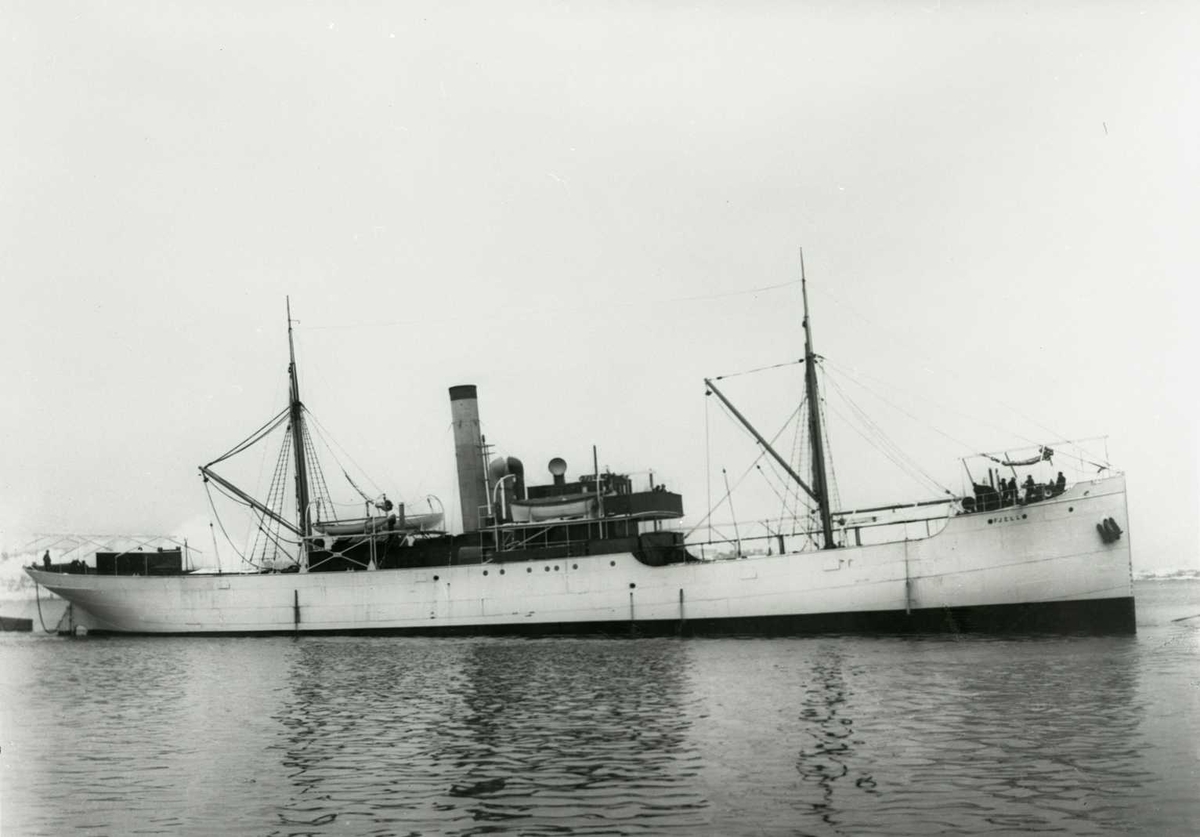 Anders Beer Wilse, D/S Fjell (b.1908, Akers Mekaniske Verksted, Chrsitiania), DEF