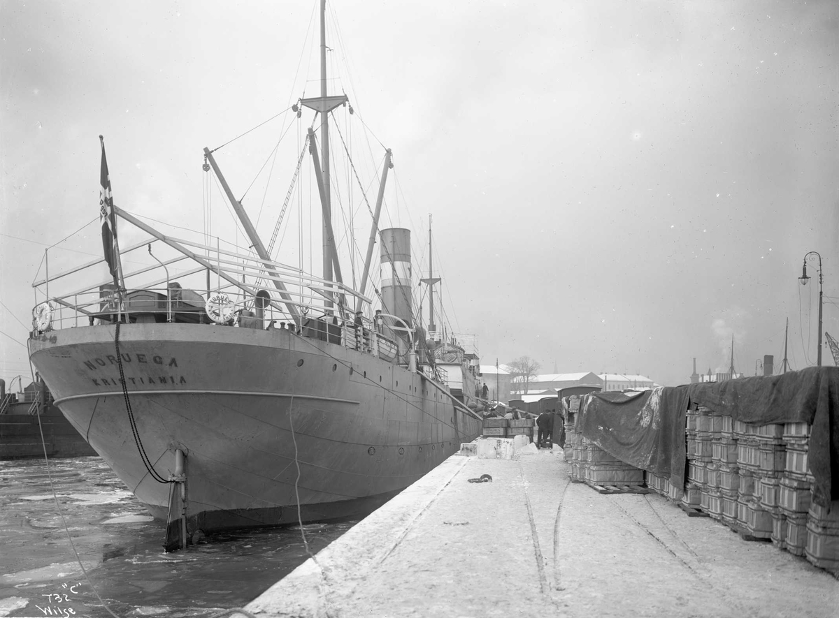 Anders Beer Wilse, D/S Noruega (b. 1909, Fevigs Jernskibsbyggeri, Grimstad)