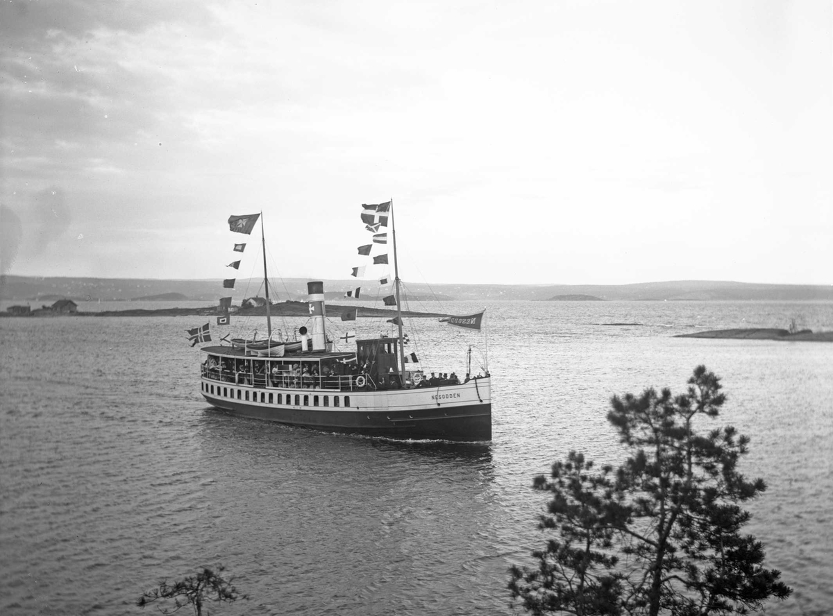 Anders Beer Wilse, D/S Nesodden (b.1903, Moss Jernstøberi, Moss)
