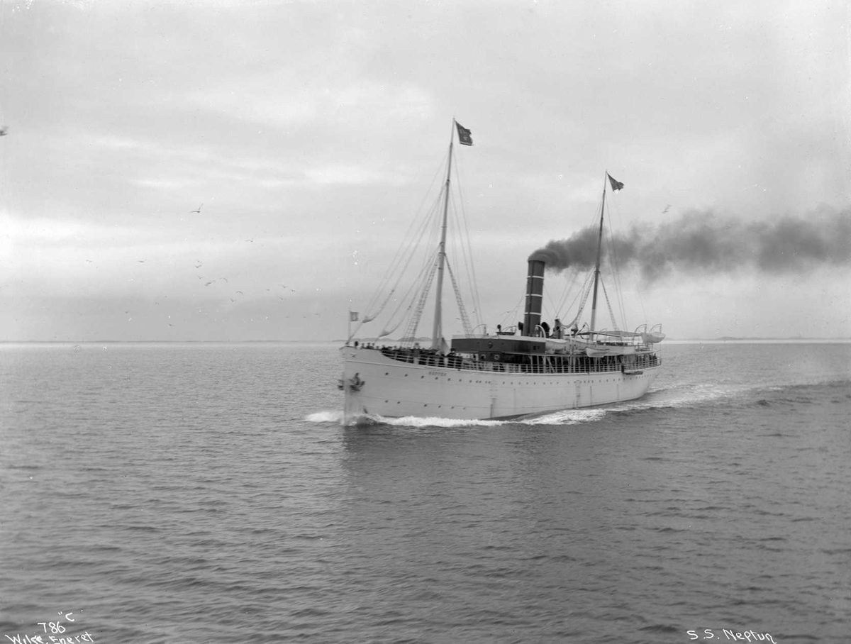 Anders Beer Wilse, D/S Neptun (b. 1890, J. C. Tecklenborg, Geestemünde), v. Alstadhaug