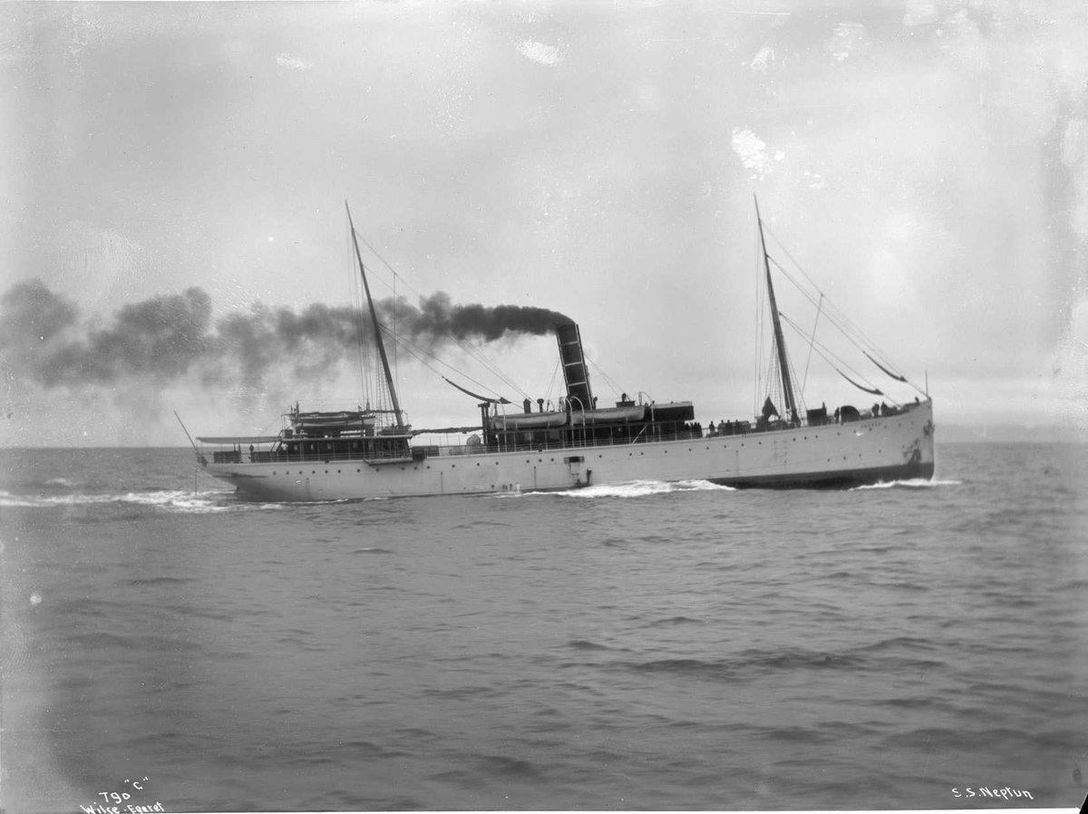 Anders Beer Wilse, D/S Neptun (b. 1890, J. C. Tecklenborg, Geestemünde)