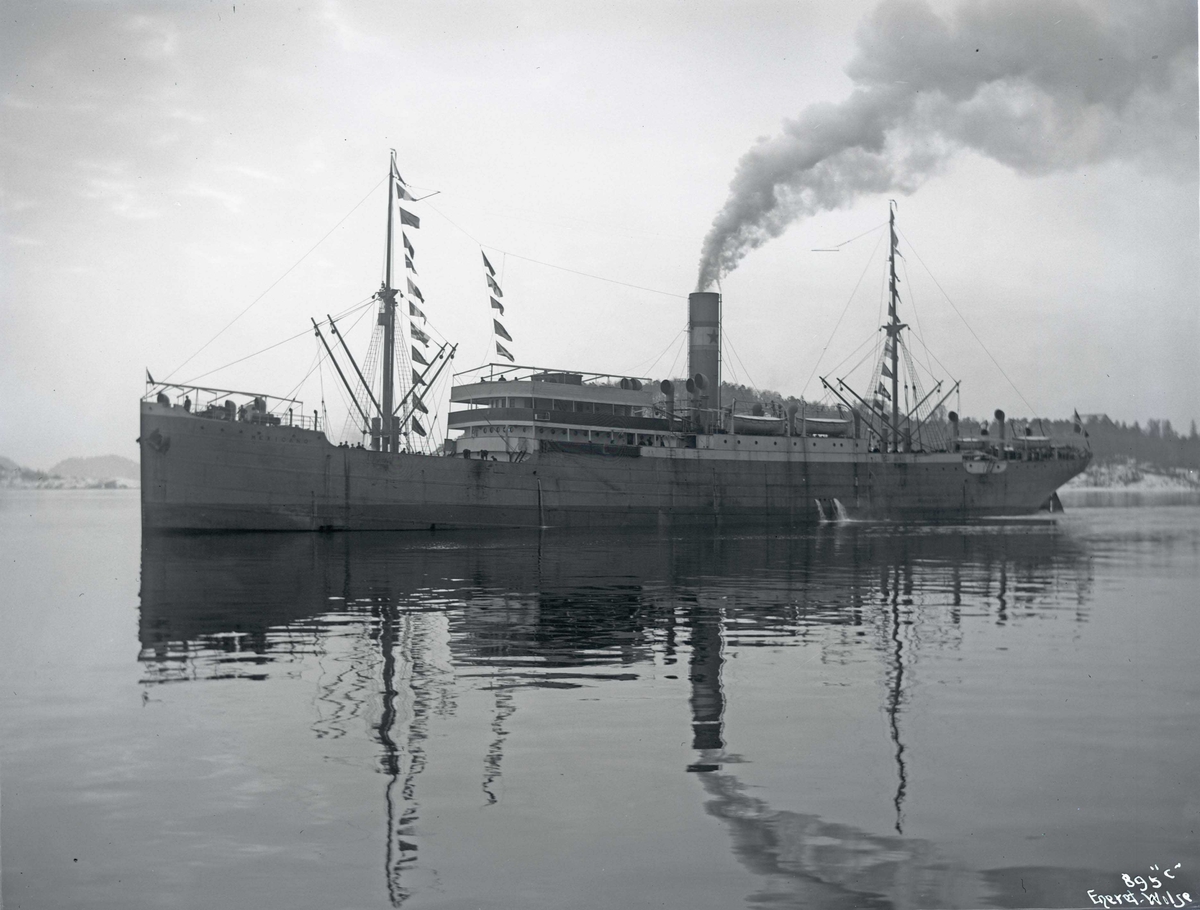 Anders Beer Wilse, D/S Mexicano (b. 1912, Sir James Laing & Sons Ltd., Sunderland)