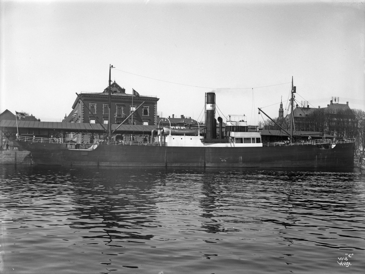 Anders Beer Wilse, D/S Havdrot (b. 1906, Wood, Skinner & Co., Newcastle)