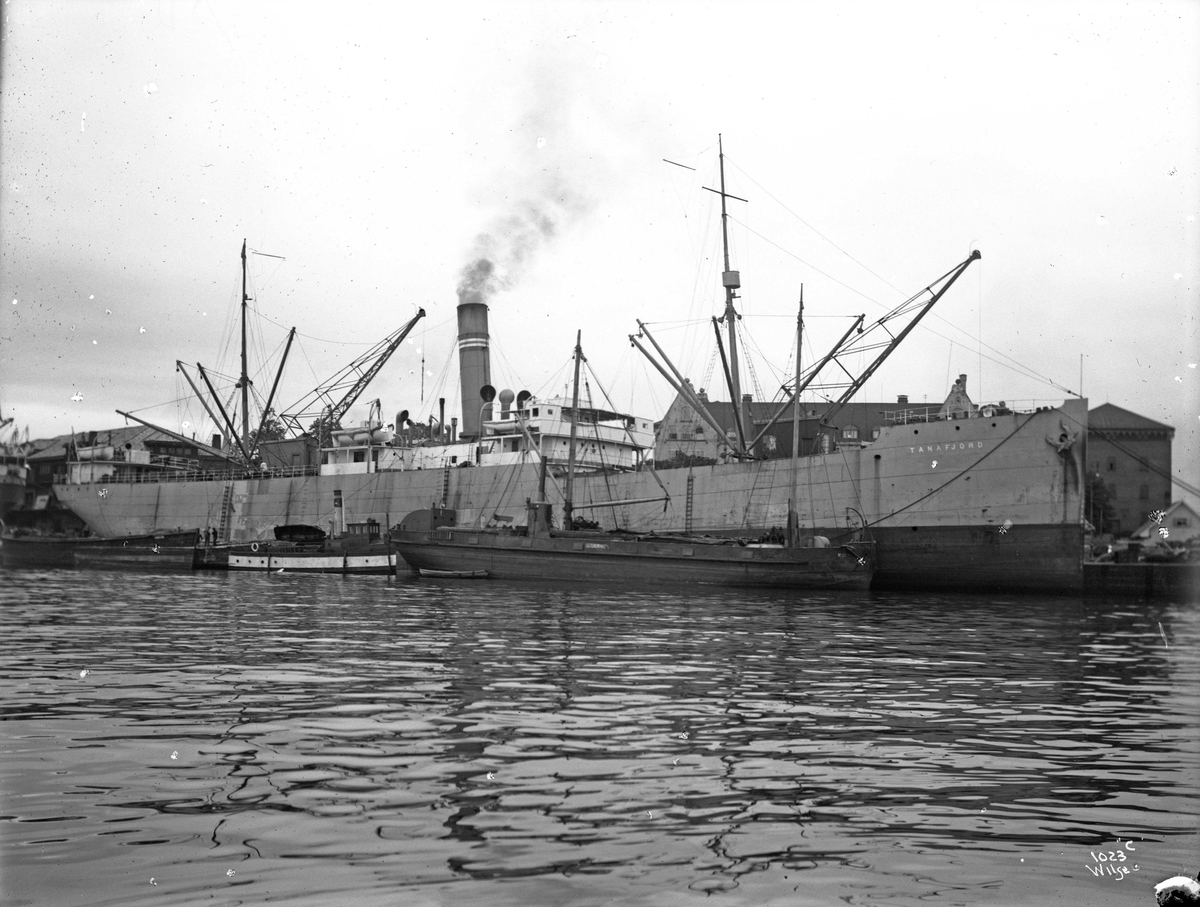 Anders Beer Wilse, D/S Tanafjord (b. 1900, Sir Raylton Dixon & Co., Middlesborough)