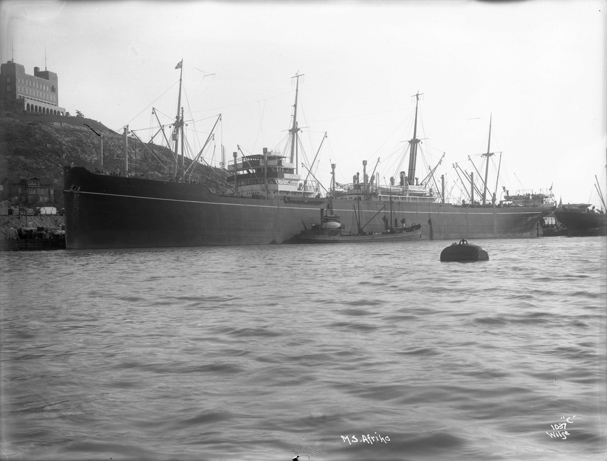 Anders Beer Wilse, M/S Afrika (b. 1920, Burmeister & Wain, Kjøbenhavn)