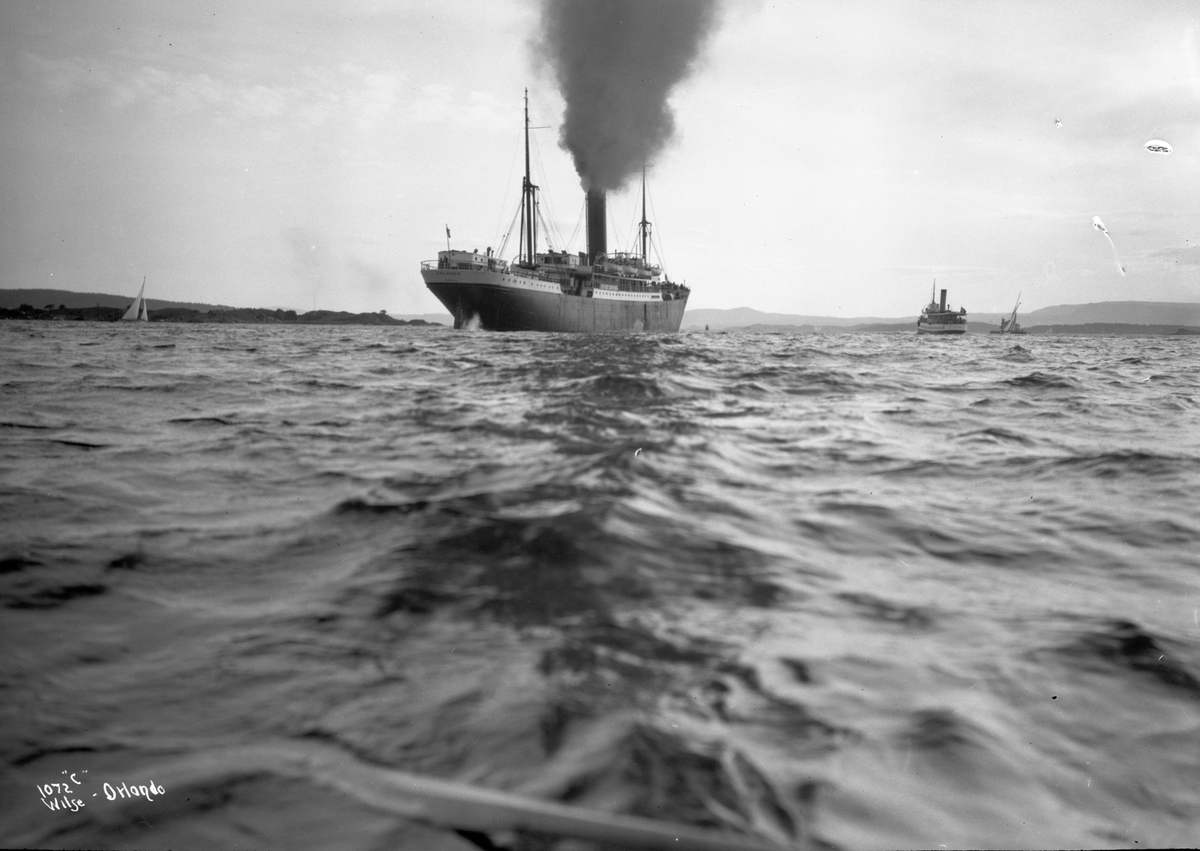 Anders Beer Wilse, D/S Orlando (b. 1904, Hall, Russell & Co., Hull)