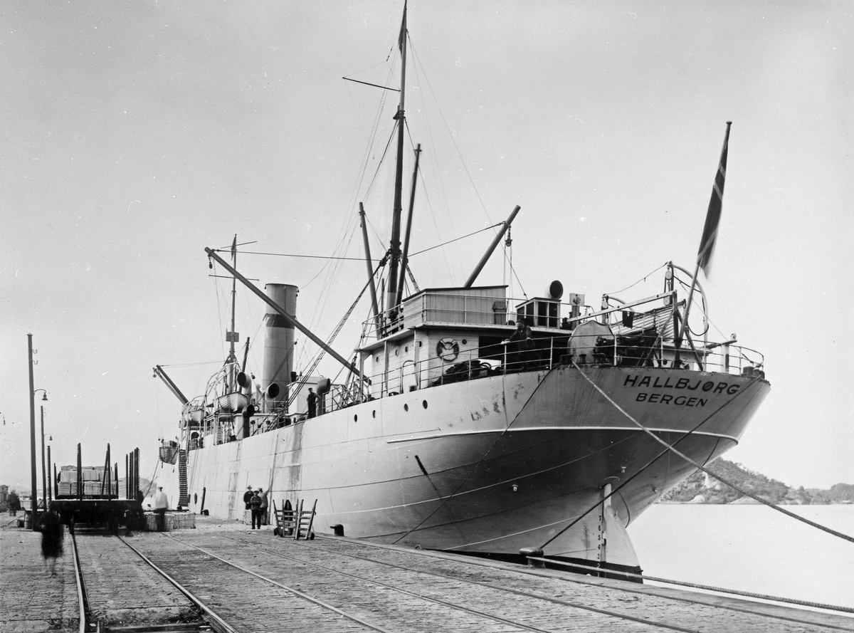 Anders Beer Wilse, D/S Hallbjørg (b. 1900, Sir Raylton Dixon & Co., Middlesborough)
