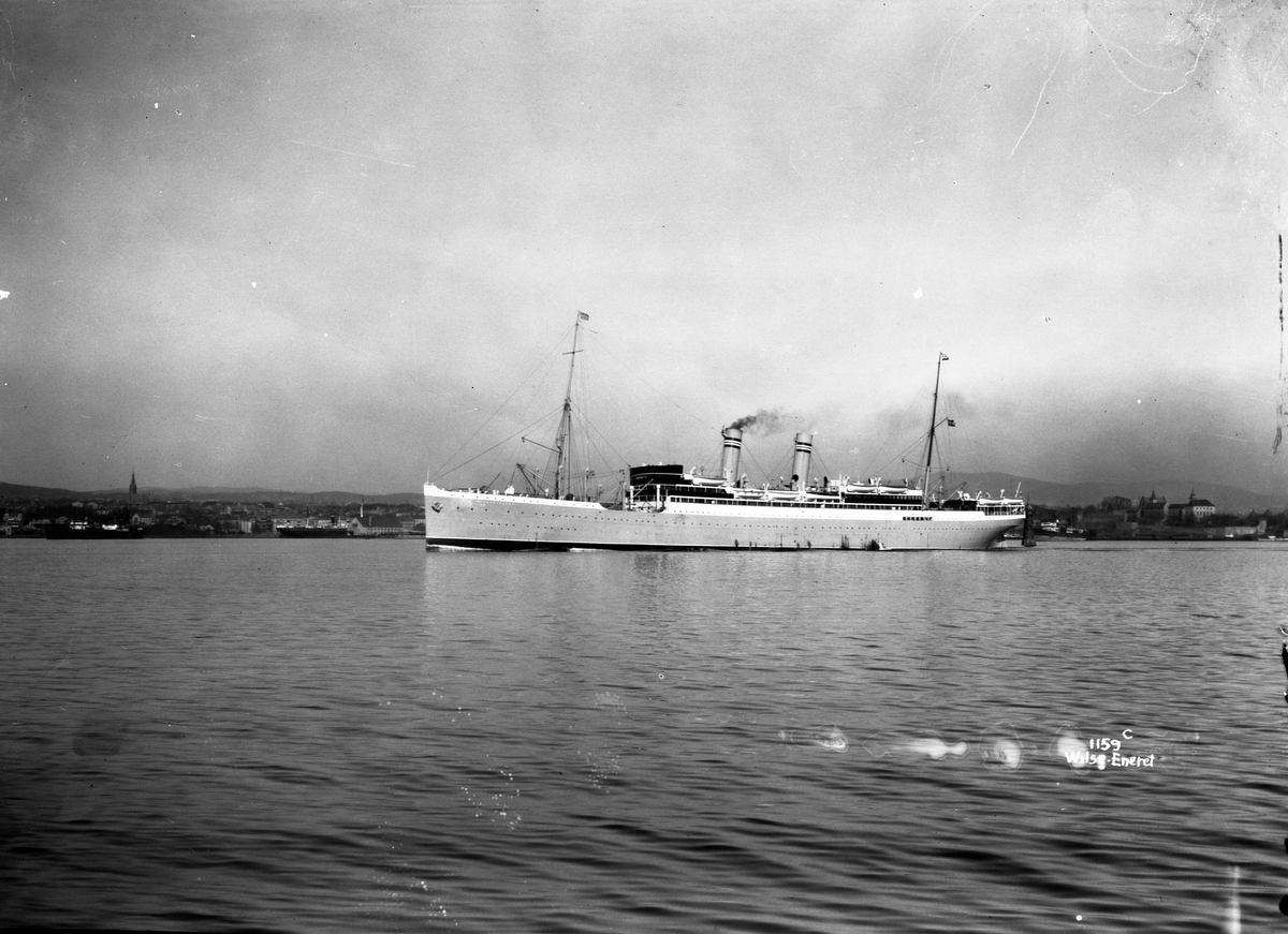 Anders Beer Wilse, Bergensfjord (b. 1913, Cammel, Laird & Co., Birkenhead)