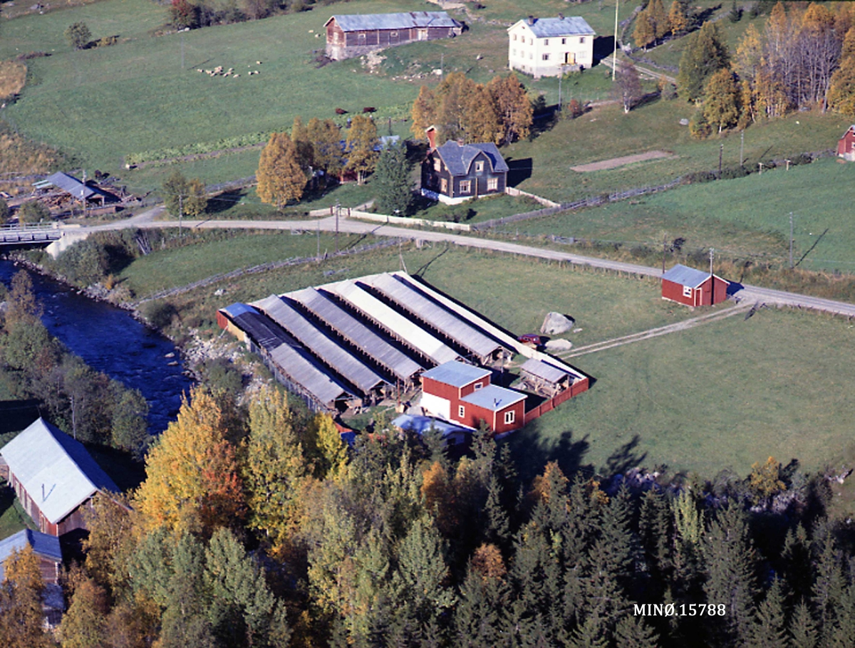 Widerøes Flyveselskap A/S, Pelsdyrfarm