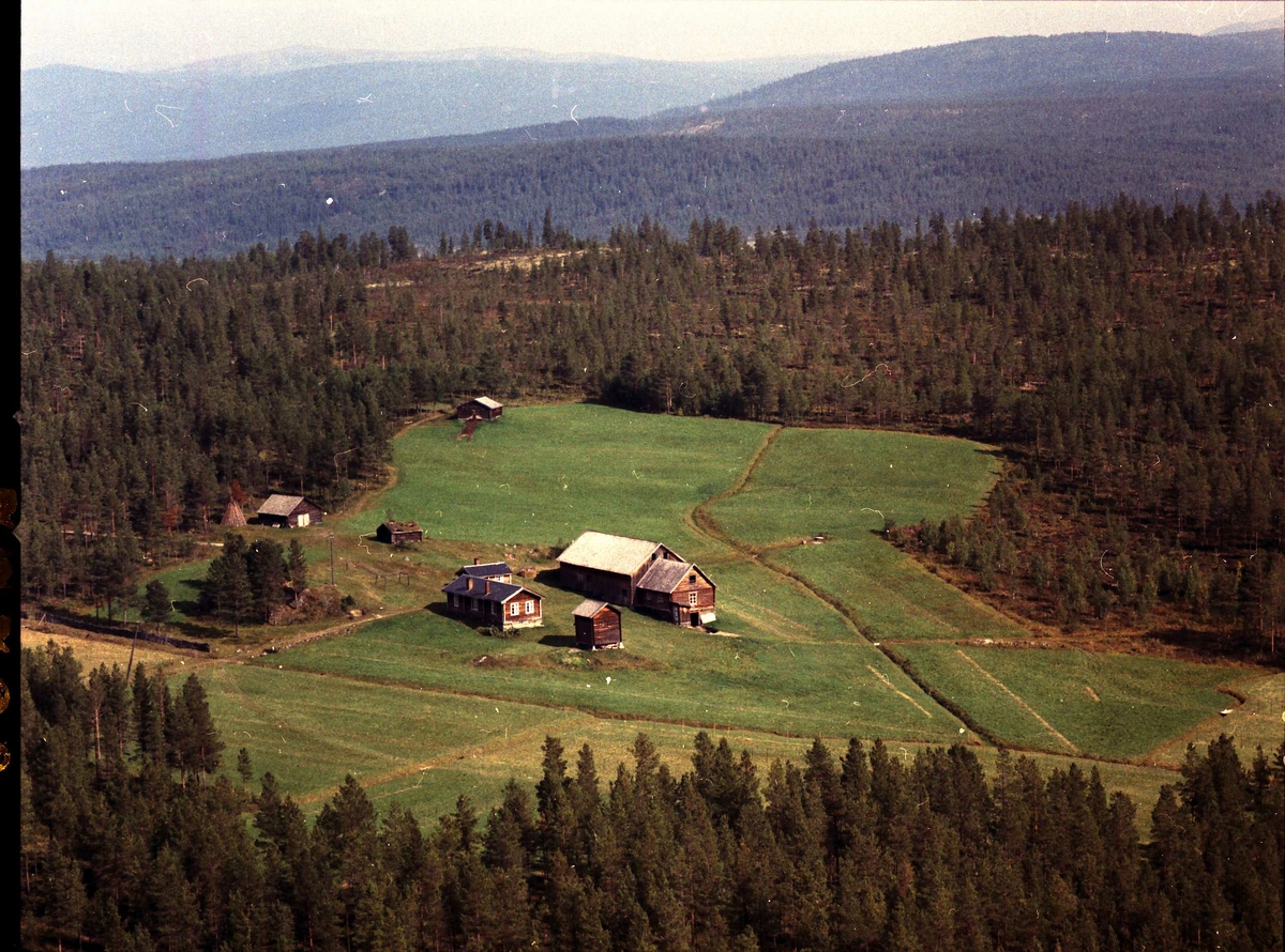 Widerøes Flyveselskap A/S, Gårdsbruk. Haugen