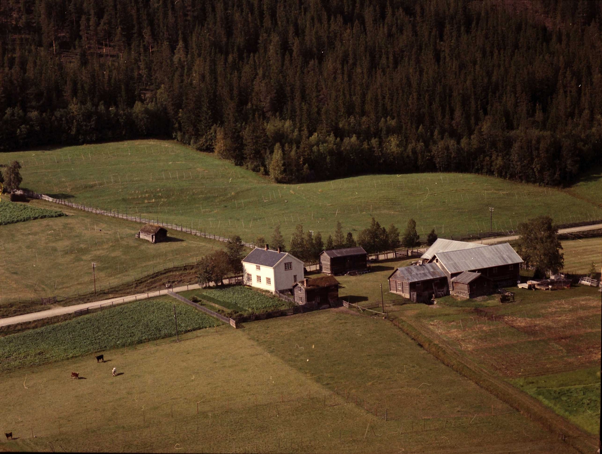 Widerøes Flyveselskap A/S, Gårdsbruk.Berget, Skreda