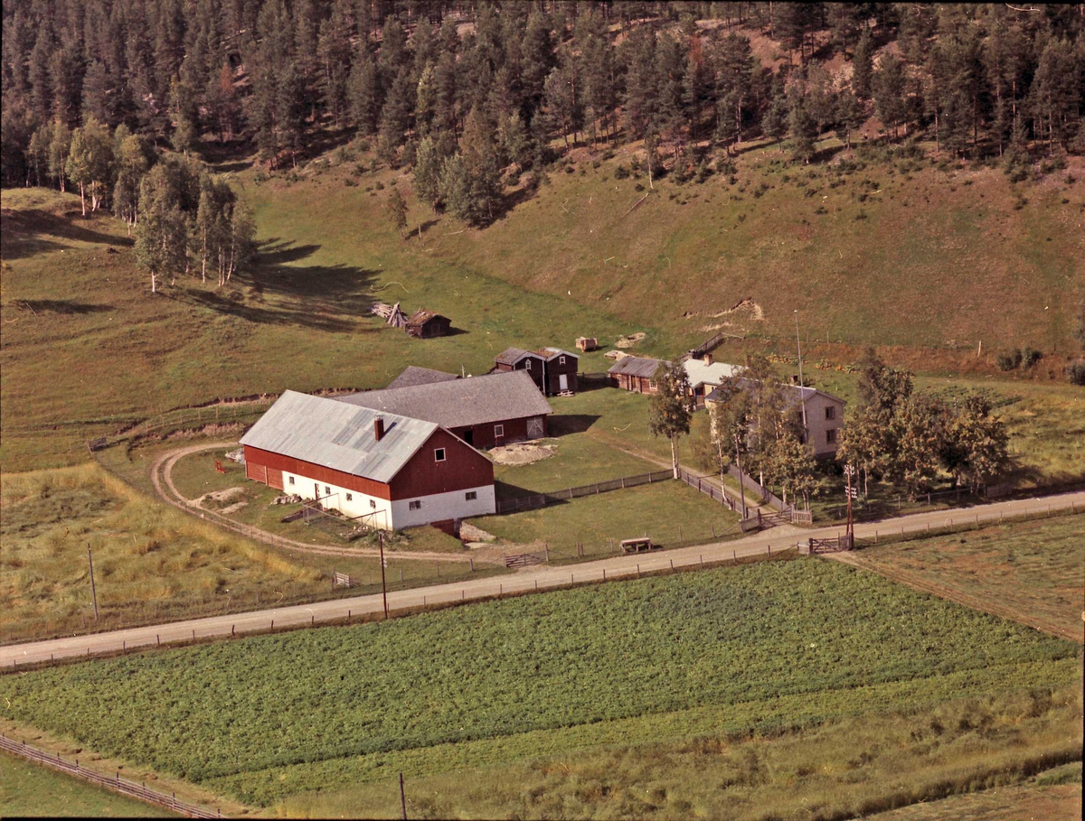 Widerøes Flyveselskap A/S, Gårdsbruk.Steimoeggen