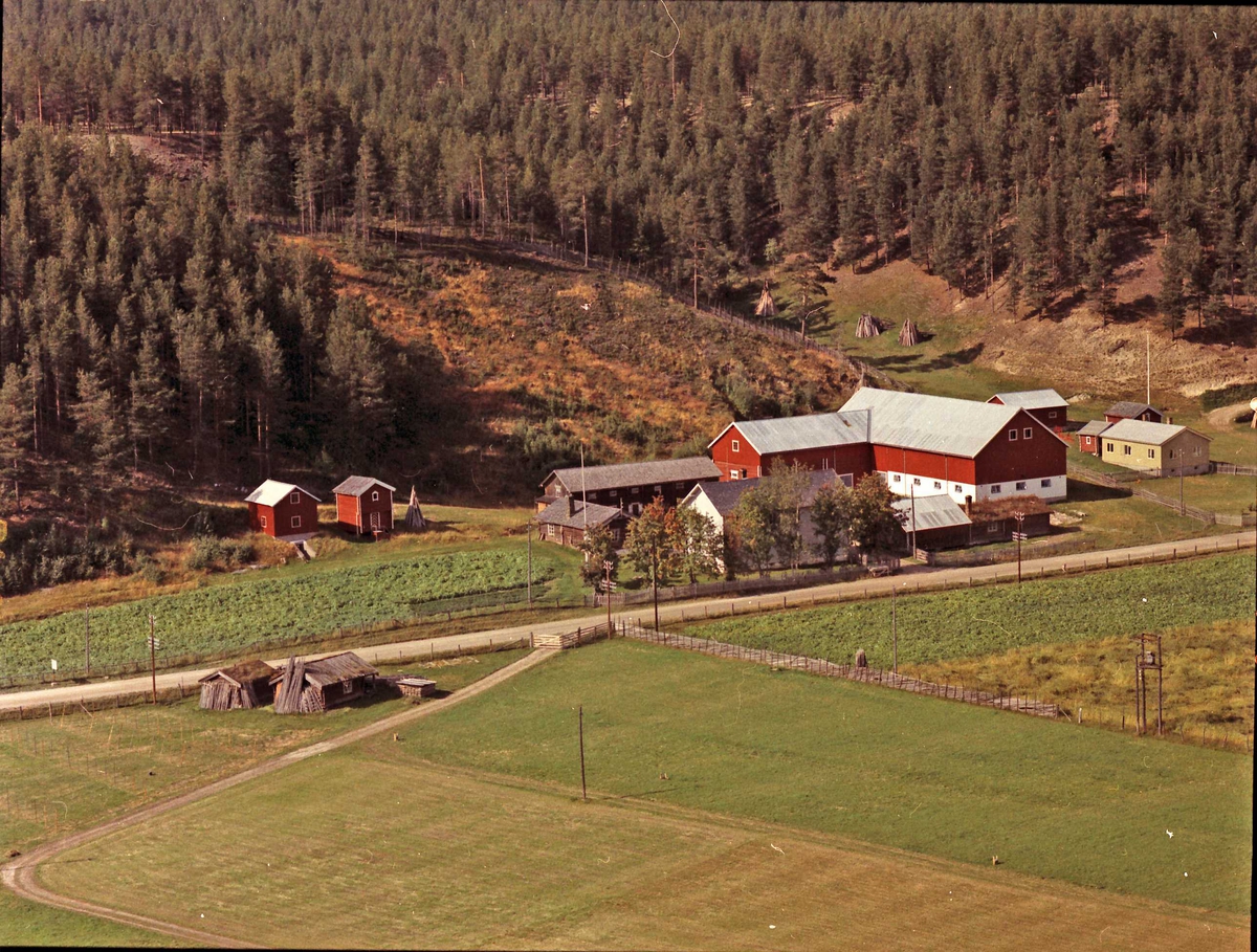 Widerøes Flyveselskap A/S, Gårdsbruk (Steimostea, Stea).