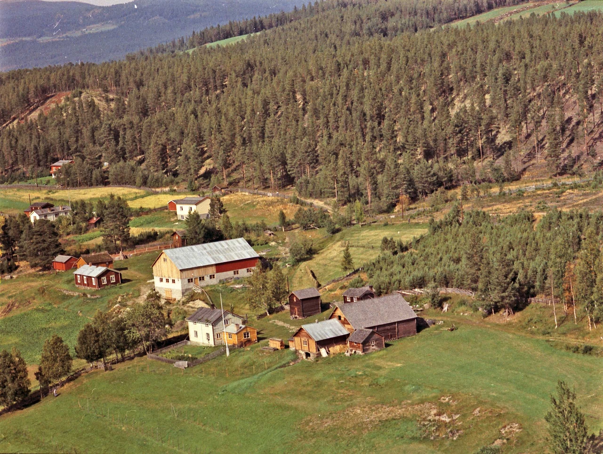 Widerøes Flyveselskap A/S, Gårdsbruk. Engetrøen