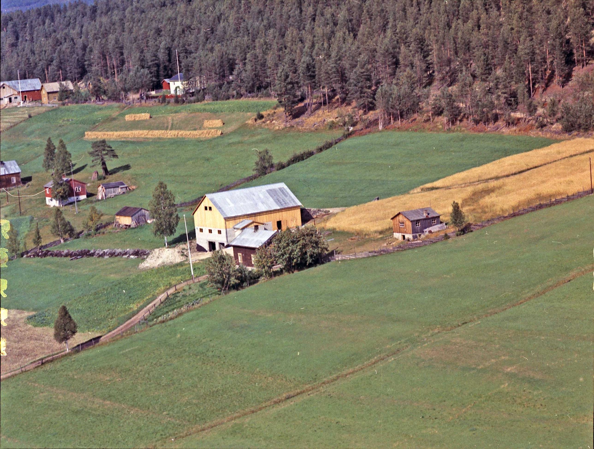 Widerøes Flyveselskap A/S, Gårdsbruk. Vårtun