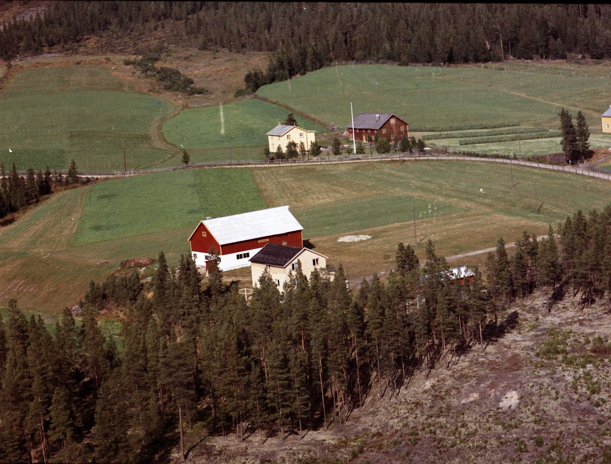 Widerøes Flyveselskap A/S, Gårdsbruk. Steivang