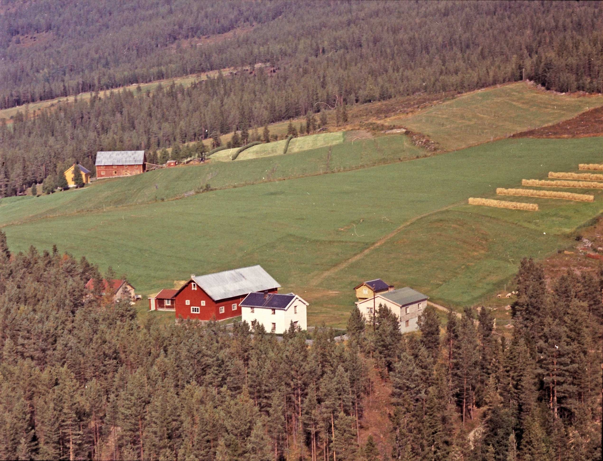 Widerøes Flyveselskap A/S, Gårdsbruk (Hågensbakken -Plassen).